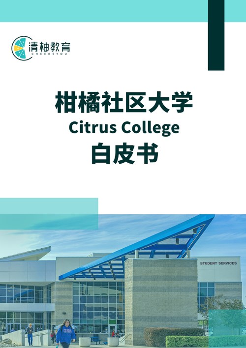White Paper Cover