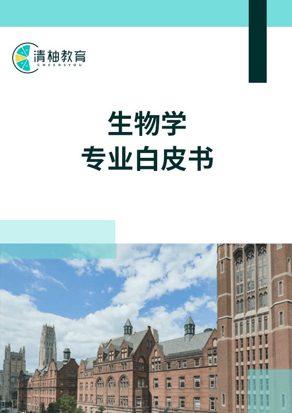 White Paper Cover